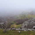 Gorbeia (224)